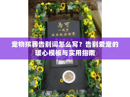 宠物殡葬告别词怎么写？告别爱宠的暖心模板与实用指南