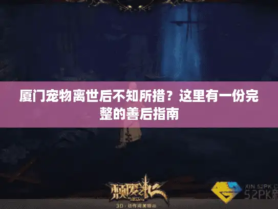 厦门宠物离世后不知所措？这里有一份完整的善后指南