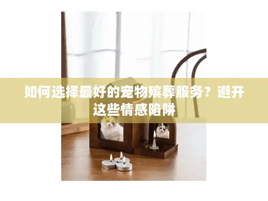 如何选择最好的宠物殡葬服务？避开这些情感陷阱