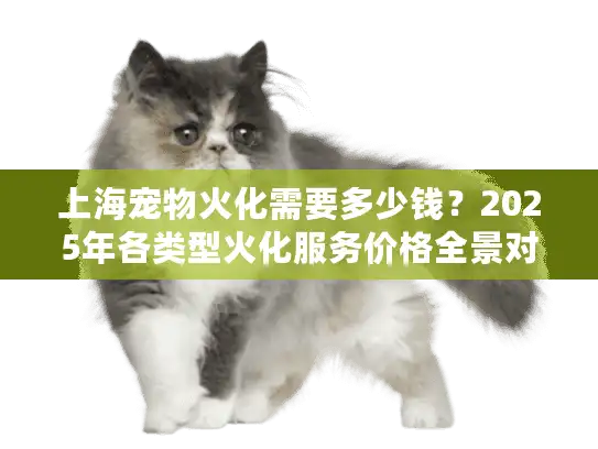 上海宠物火化需要多少钱？2025年各类型火化服务价格全景对比