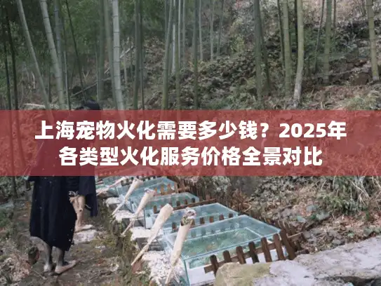 上海宠物火化需要多少钱？2025年各类型火化服务价格全景对比