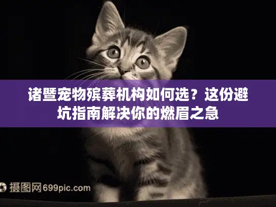 诸暨宠物殡葬机构如何选？这份避坑指南解决你的燃眉之急