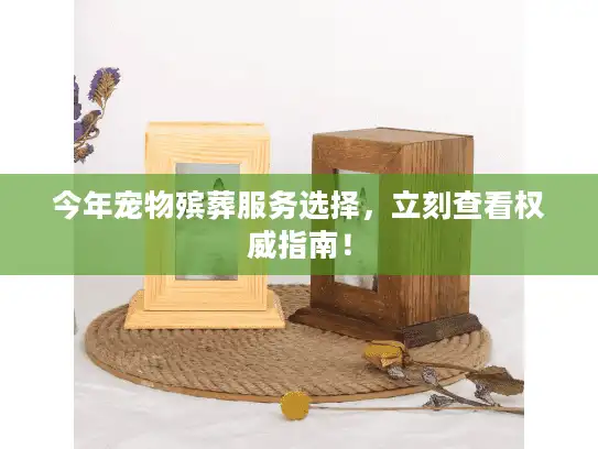 今年宠物殡葬服务选择，立刻查看权威指南！