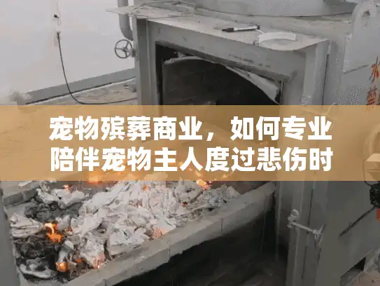 宠物殡葬商业，如何专业陪伴宠物主人度过悲伤时刻？