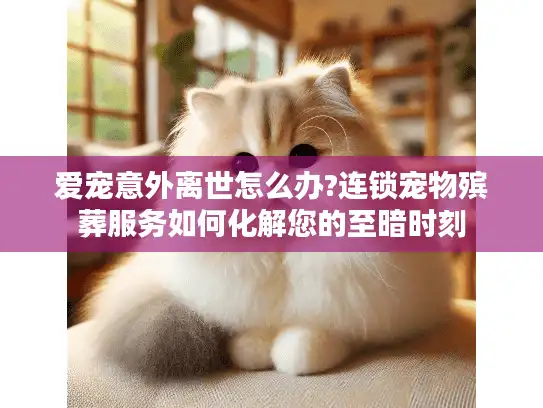 爱宠意外离世怎么办?连锁宠物殡葬服务如何化解您的至暗时刻