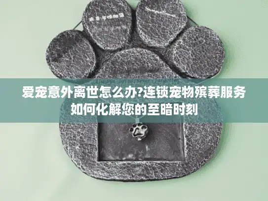 爱宠意外离世怎么办?连锁宠物殡葬服务如何化解您的至暗时刻