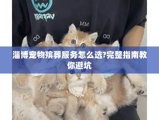 淄博宠物殡葬服务怎么选?完整指南教你避坑