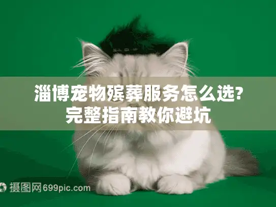 淄博宠物殡葬服务怎么选?完整指南教你避坑