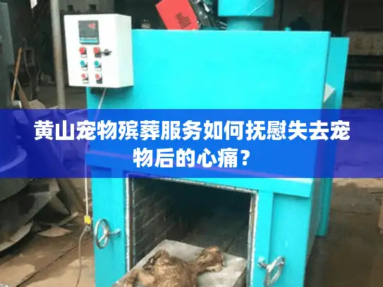 黄山宠物殡葬服务如何抚慰失去宠物后的心痛？