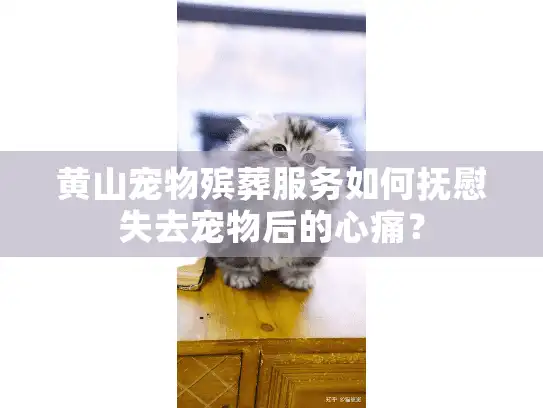黄山宠物殡葬服务如何抚慰失去宠物后的心痛？
