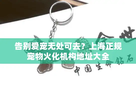 告别爱宠无处可去？上海正规宠物火化机构地址大全