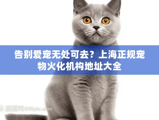 告别爱宠无处可去？上海正规宠物火化机构地址大全