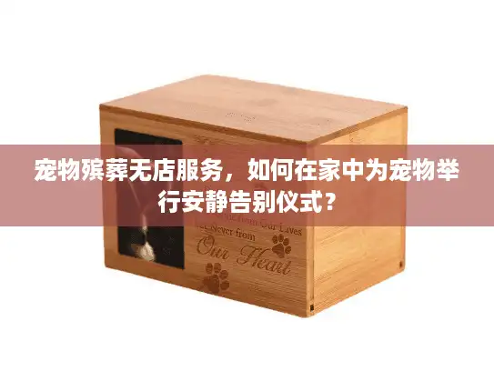 宠物殡葬无店服务，如何在家中为宠物举行安静告别仪式？