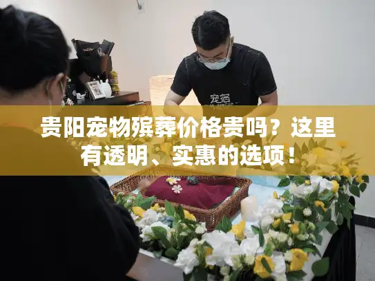 贵阳宠物殡葬价格贵吗？这里有透明、实惠的选项！