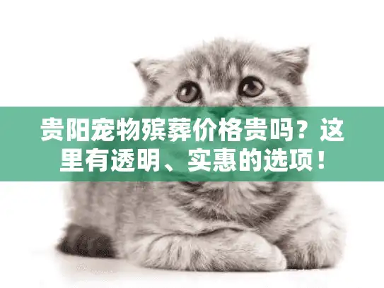 贵阳宠物殡葬价格贵吗？这里有透明、实惠的选项！