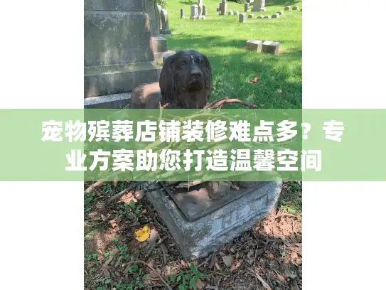 宠物殡葬店铺装修难点多？专业方案助您打造温馨空间