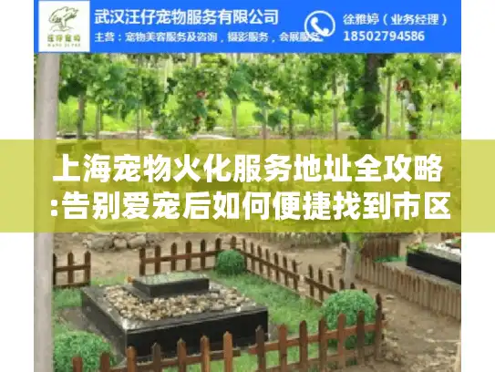 上海宠物火化服务地址全攻略:告别爱宠后如何便捷找到市区专业机构