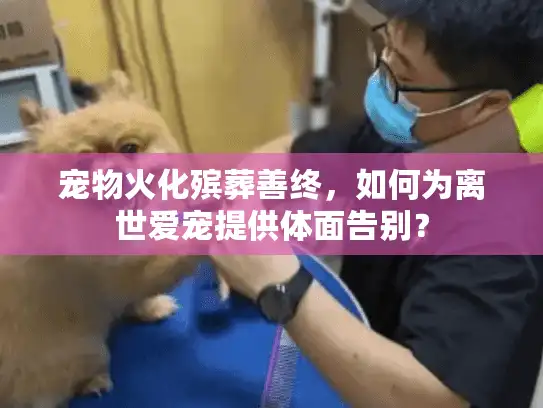 宠物火化殡葬善终，如何为离世爱宠提供体面告别？