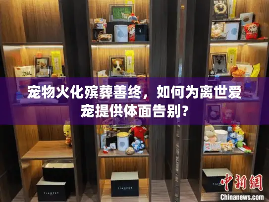 宠物火化殡葬善终，如何为离世爱宠提供体面告别？