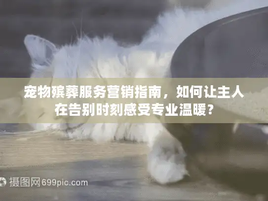 宠物殡葬服务营销指南，如何让主人在告别时刻感受专业温暖？