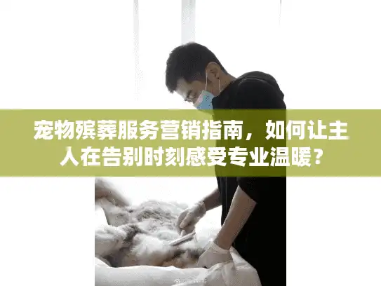 宠物殡葬服务营销指南，如何让主人在告别时刻感受专业温暖？