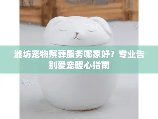 潍坊宠物殡葬服务哪家好？专业告别爱宠暖心指南