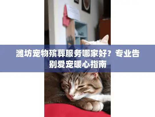 潍坊宠物殡葬服务哪家好？专业告别爱宠暖心指南
