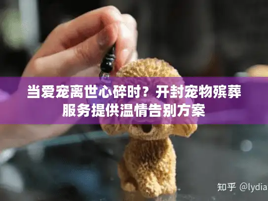当爱宠离世心碎时？开封宠物殡葬服务提供温情告别方案