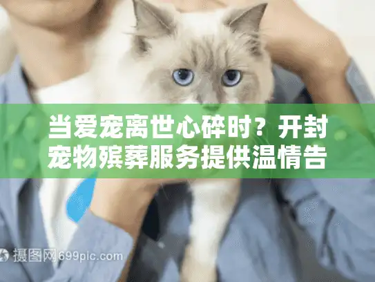 当爱宠离世心碎时？开封宠物殡葬服务提供温情告别方案