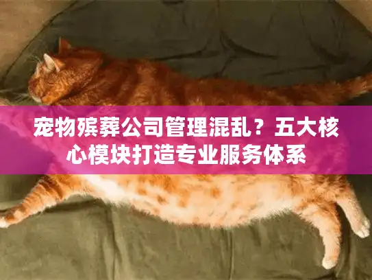 宠物殡葬公司管理混乱？五大核心模块打造专业服务体系