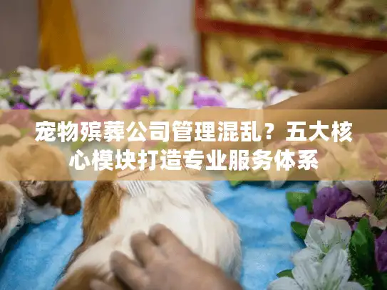 宠物殡葬公司管理混乱？五大核心模块打造专业服务体系