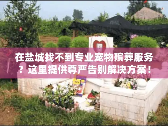 在盐城找不到专业宠物殡葬服务？这里提供尊严告别解决方案！