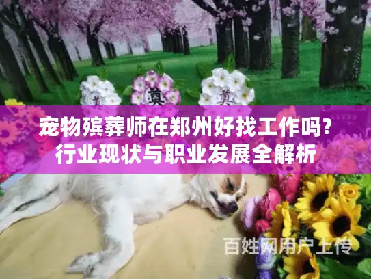 宠物殡葬师在郑州好找工作吗?行业现状与职业发展全解析