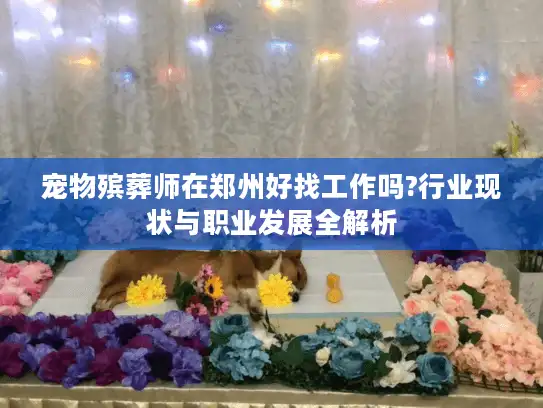 宠物殡葬师在郑州好找工作吗?行业现状与职业发展全解析