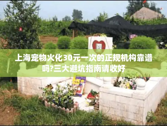 上海宠物火化30元一次的正规机构靠谱吗?三大避坑指南请收好