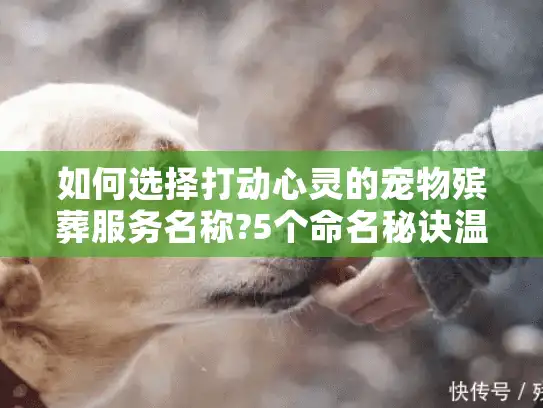 如何选择打动心灵的宠物殡葬服务名称?5个命名秘诀温暖告别