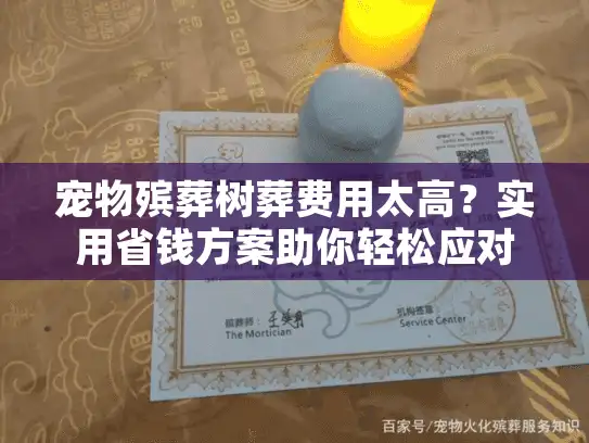 宠物殡葬树葬费用太高？实用省钱方案助你轻松应对宠物离别伤痛