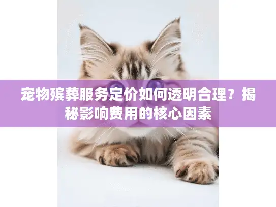 宠物殡葬服务定价如何透明合理？揭秘影响费用的核心因素