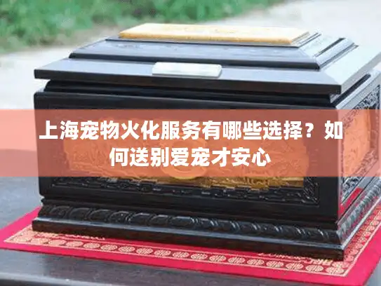 上海宠物火化服务有哪些选择？如何送别爱宠才安心