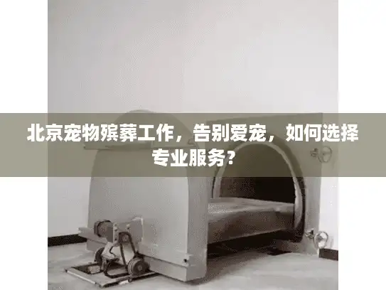 北京宠物殡葬工作，告别爱宠，如何选择专业服务？
