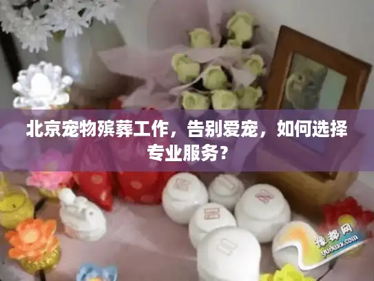 北京宠物殡葬工作，告别爱宠，如何选择专业服务？