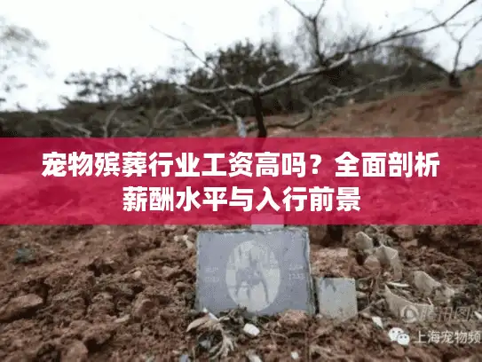 宠物殡葬行业工资高吗？全面剖析薪酬水平与入行前景