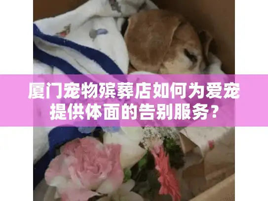 厦门宠物殡葬店如何为爱宠提供体面的告别服务？