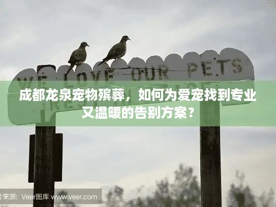 成都龙泉宠物殡葬，如何为爱宠找到专业又温暖的告别方案？