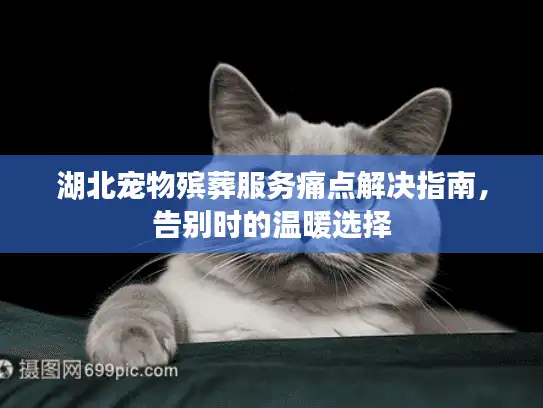 湖北宠物殡葬服务痛点解决指南，告别时的温暖选择