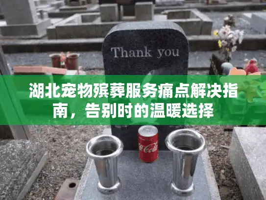 湖北宠物殡葬服务痛点解决指南，告别时的温暖选择