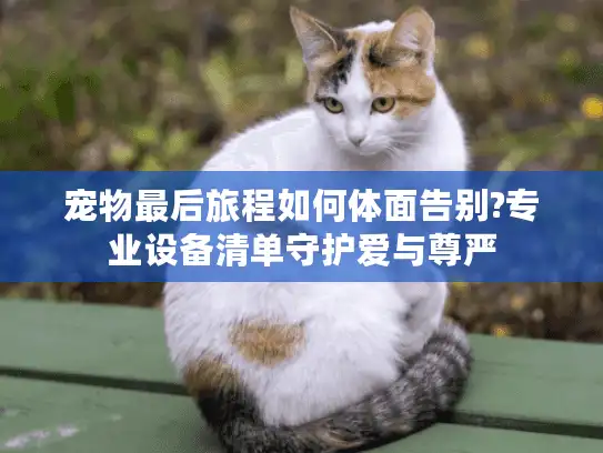 宠物最后旅程如何体面告别?专业设备清单守护爱与尊严