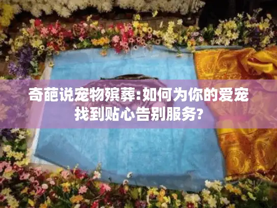 奇葩说宠物殡葬:如何为你的爱宠找到贴心告别服务?