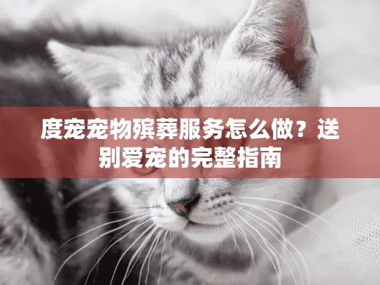 度宠宠物殡葬服务怎么做？送别爱宠的完整指南