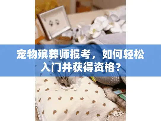 宠物殡葬师报考，如何轻松入门并获得资格？